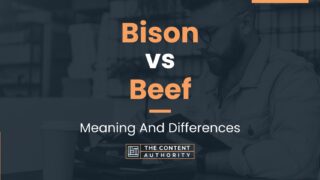 Bison Vs Beef Meaning And Differences