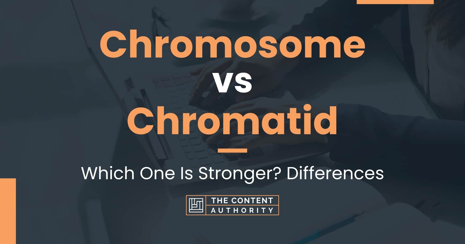 Chromosome Vs Chromatid Which One Is Stronger Differences