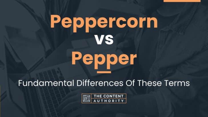 Peppercorn Vs Pepper Fundamental Differences Of These Terms