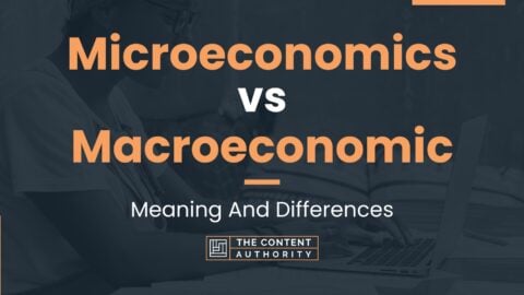 Microeconomics Vs Macroeconomic Meaning And Differences