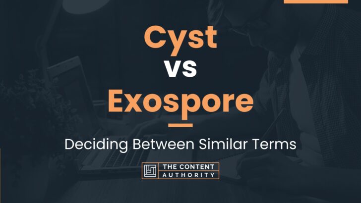 Cyst Vs Exospore Deciding Between Similar Terms