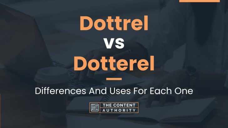 Dottrel Vs Dotterel Differences And Uses For Each One