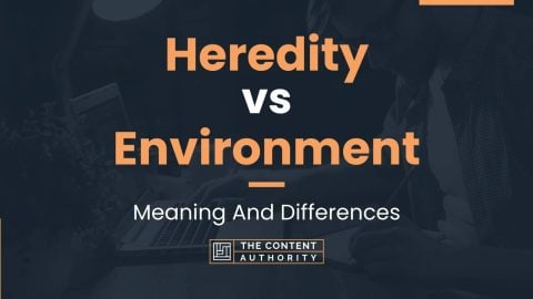 Heredity Vs Environment Meaning And Differences