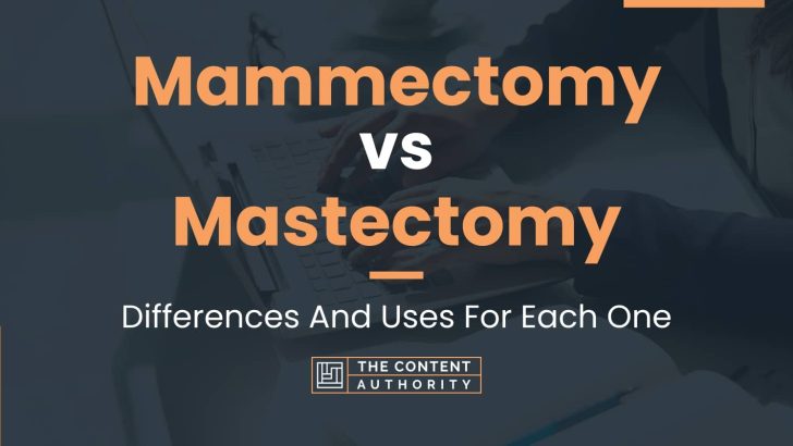 Mammectomy Vs Mastectomy Differences And Uses For Each One