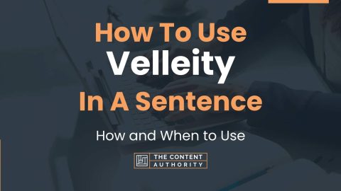 How To Use Velleity In A Sentence How And When To Use