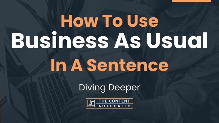 How To Use Business As Usual In A Sentence Diving Deeper