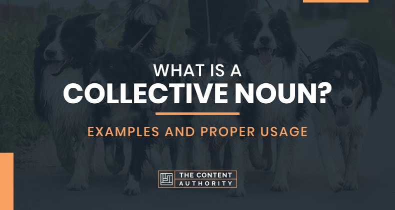 What Is A Collective Noun? Examples And Proper Usage