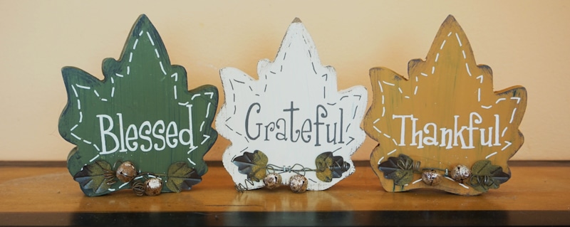 blessed grateful thankful signs on mapple leaves
