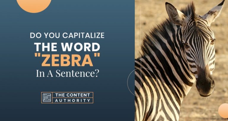 Do You Capitalize The Word Zebra In Sentence 