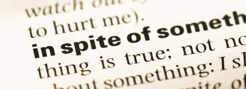 How Can I Use The Word Spite In A Sentence