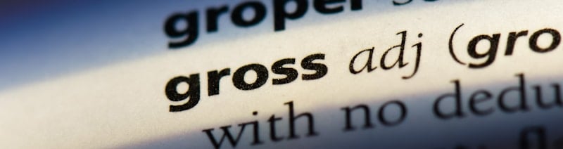 Gross Vs Net How Do We Use These Words In A Sentence 