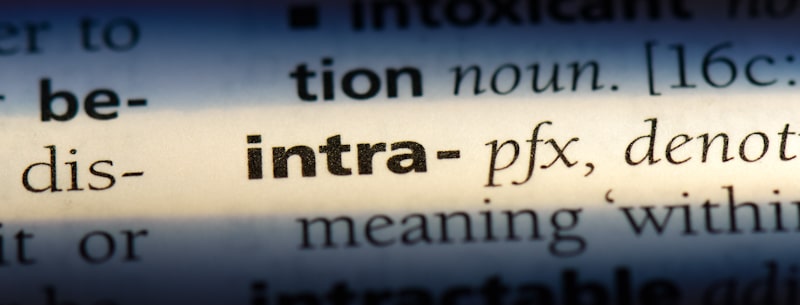intra preffix on dictionary
