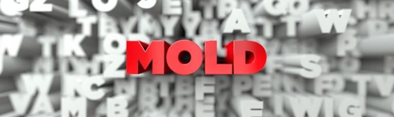 mold-vs-mould-when-to-and-when-not-to-use-each-in-a-sentence