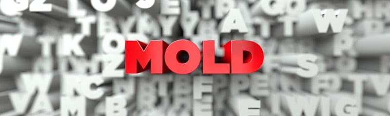 mold sign in red letters white alphabeth background
