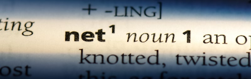 net definition on dictionary