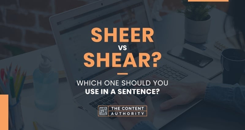 Sheer vs Shear? Which One Should You Use in a Sentence?