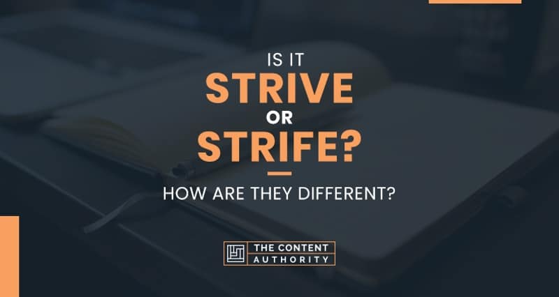 Is It Strive or Strife? How Are They Different?