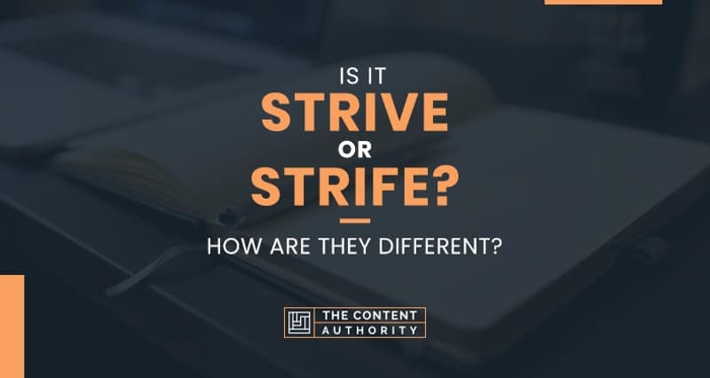 What Is Meant By Strife