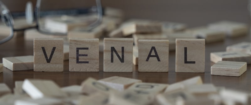 Venal Vs Venial Which One Should You Use When Writing 