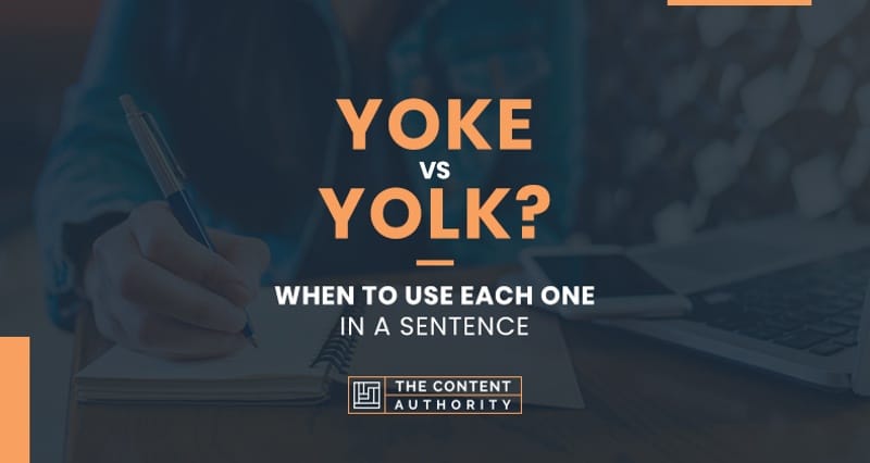 Yoke vs Yolk? When to Use Each One in a Sentence