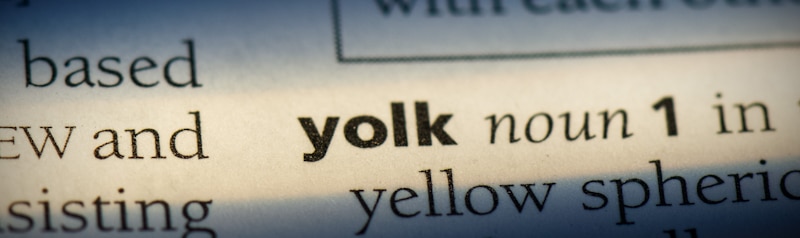 yolk word in dictionary