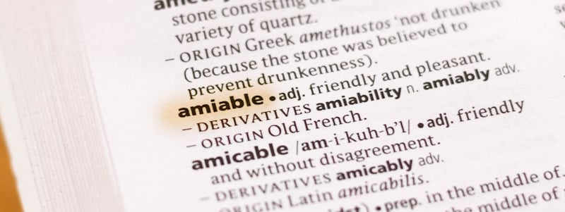 amiable word in the dictionary