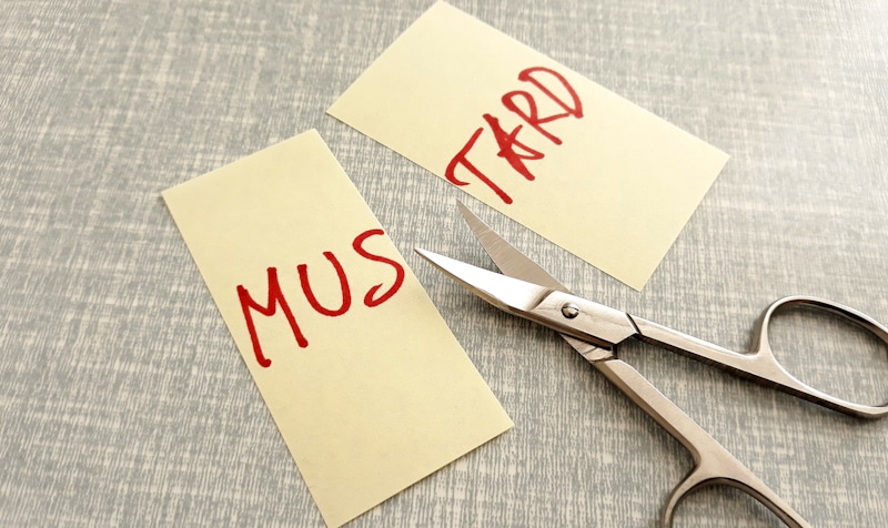 What Does quot Cut the Mustard quot Mean? How to Use It in Writing