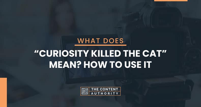 What Does “Curiosity Killed the Cat” Mean? How to Use It