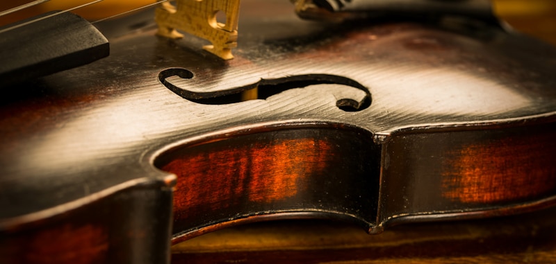 violin fiddle close up 1