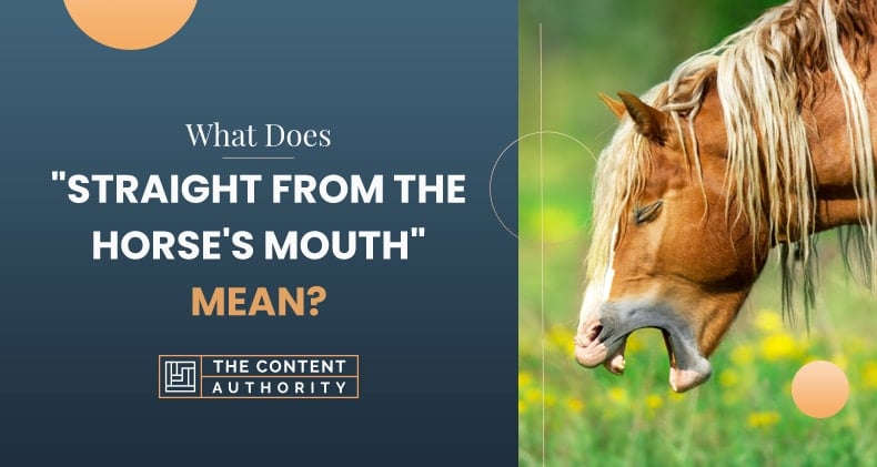 What Does “Straight From The Horse’s Mouth” Mean?