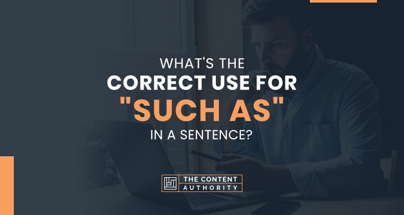What’s The Correct Use For “Such As” In A Sentence?