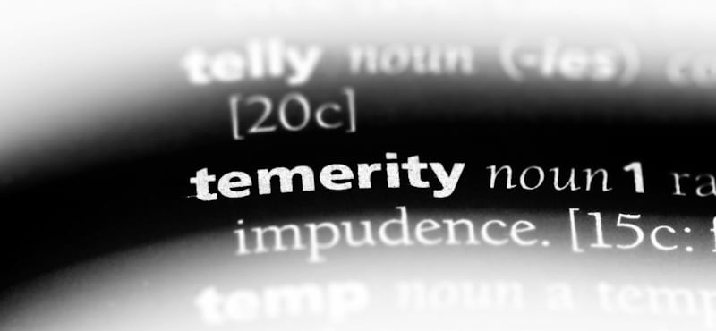 temerity dictionary
