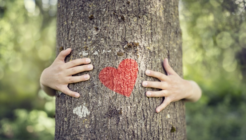 tree hug heart