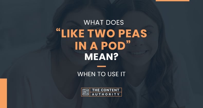 What Does “Like Two Peas In A Pod” Mean? When To Use It