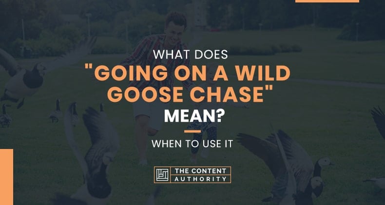 What Does “Going On A Wild Goose Chase” Mean? When To Use It?