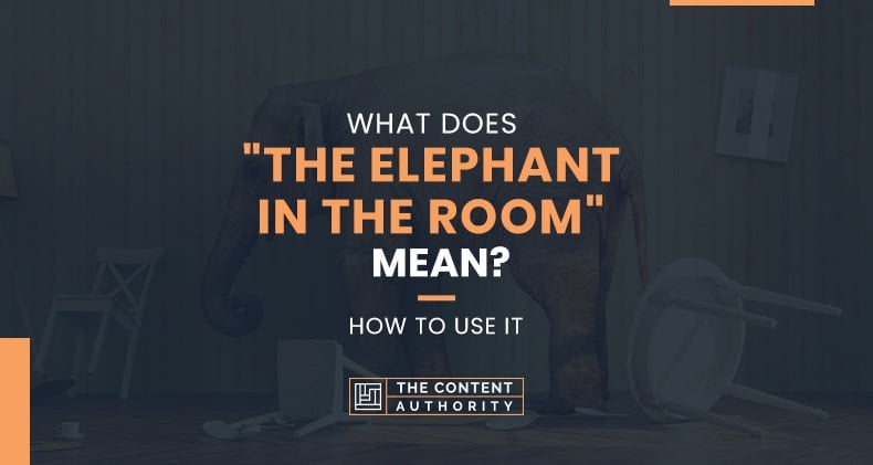 What Does “The Elephant In The Room” Mean? How To Use It.