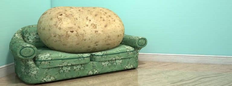 what-does-a-couch-potato-mean-when-should-we-use-it