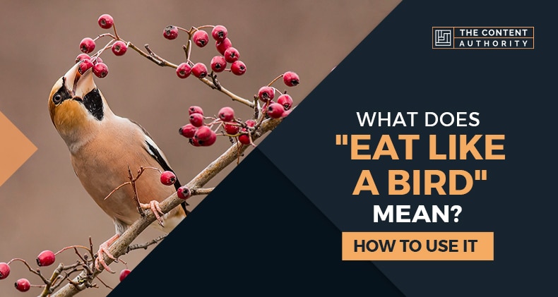 What Does "Eat Like A Bird" Mean? How To Use It