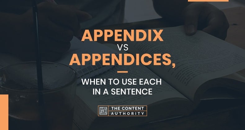 Appendix Vs Appendices, When To Use Each In A Sentence