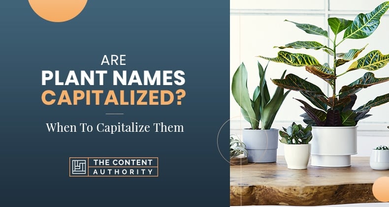 Are Plant Names Capitalized? When To Capitalize Them