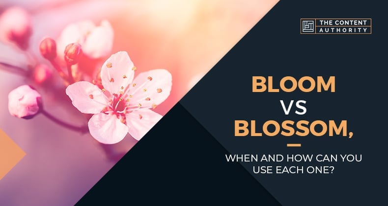 Bloom Vs Blossom, When And How Can You Use Each One?
