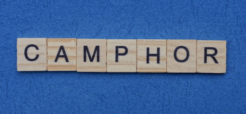 camphor spelled in wooden blocks