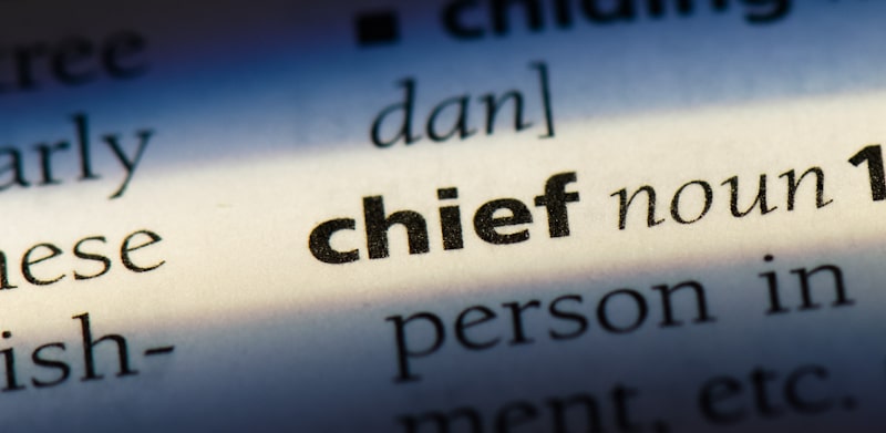 chief in the dictionary