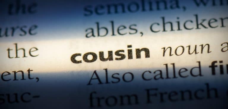 cousin-vs-niece-main-differences-and-uses-of-these-words