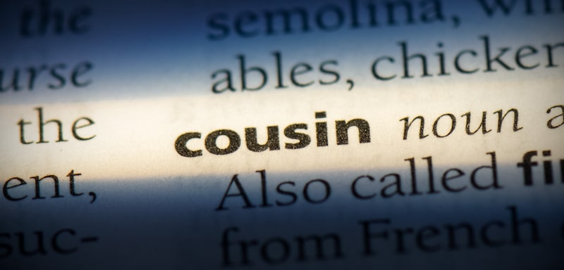 cousin word in dictionary