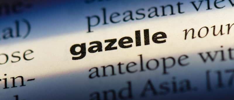 gazelle word in dictionary