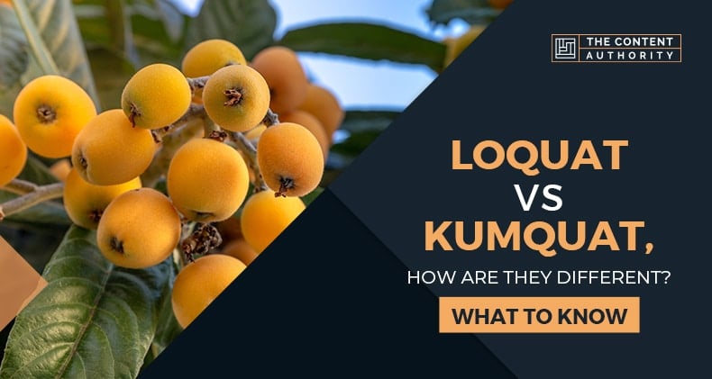 Loquat Vs. Kumquat, How Are They Different? What To Know