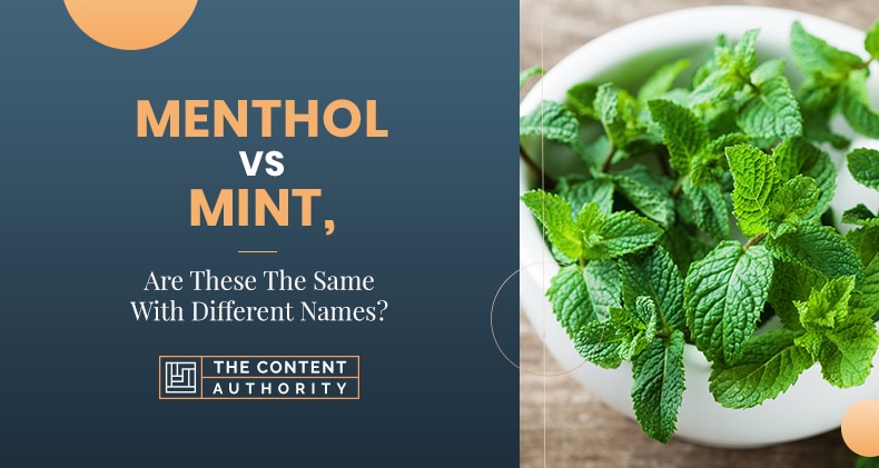 Menthol Vs Mint, Are These The Same With Different Names?