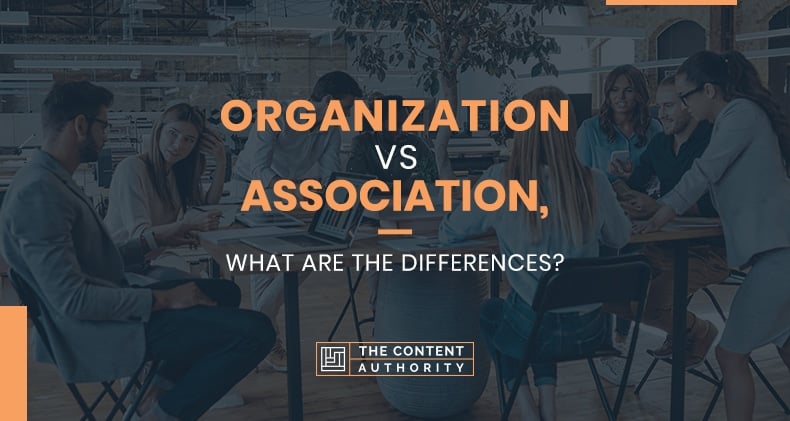 Organization Vs Association, What Are The Differences?