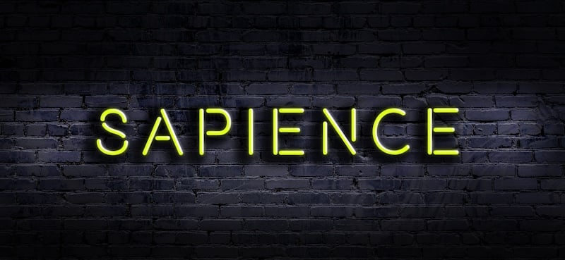 sapience spelled in neon